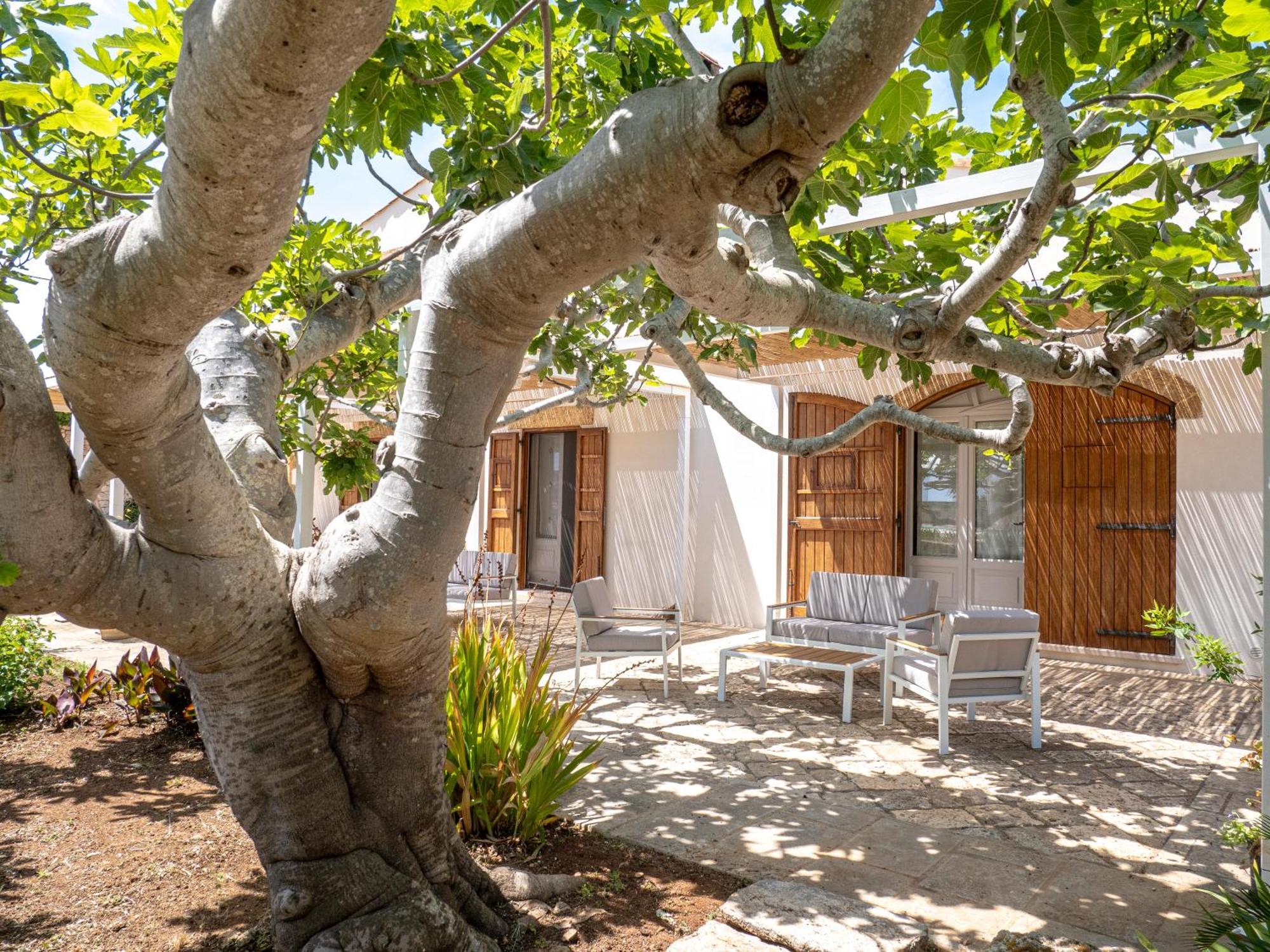 גאליאנו דל קאפו Agriturismo Masseria Alcorico מראה חיצוני תמונה